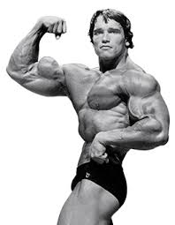 arnold schwarzenegger